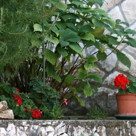 Apartment Apartments By The Sea Mastrinka, Ciovo - 4647 Trogir